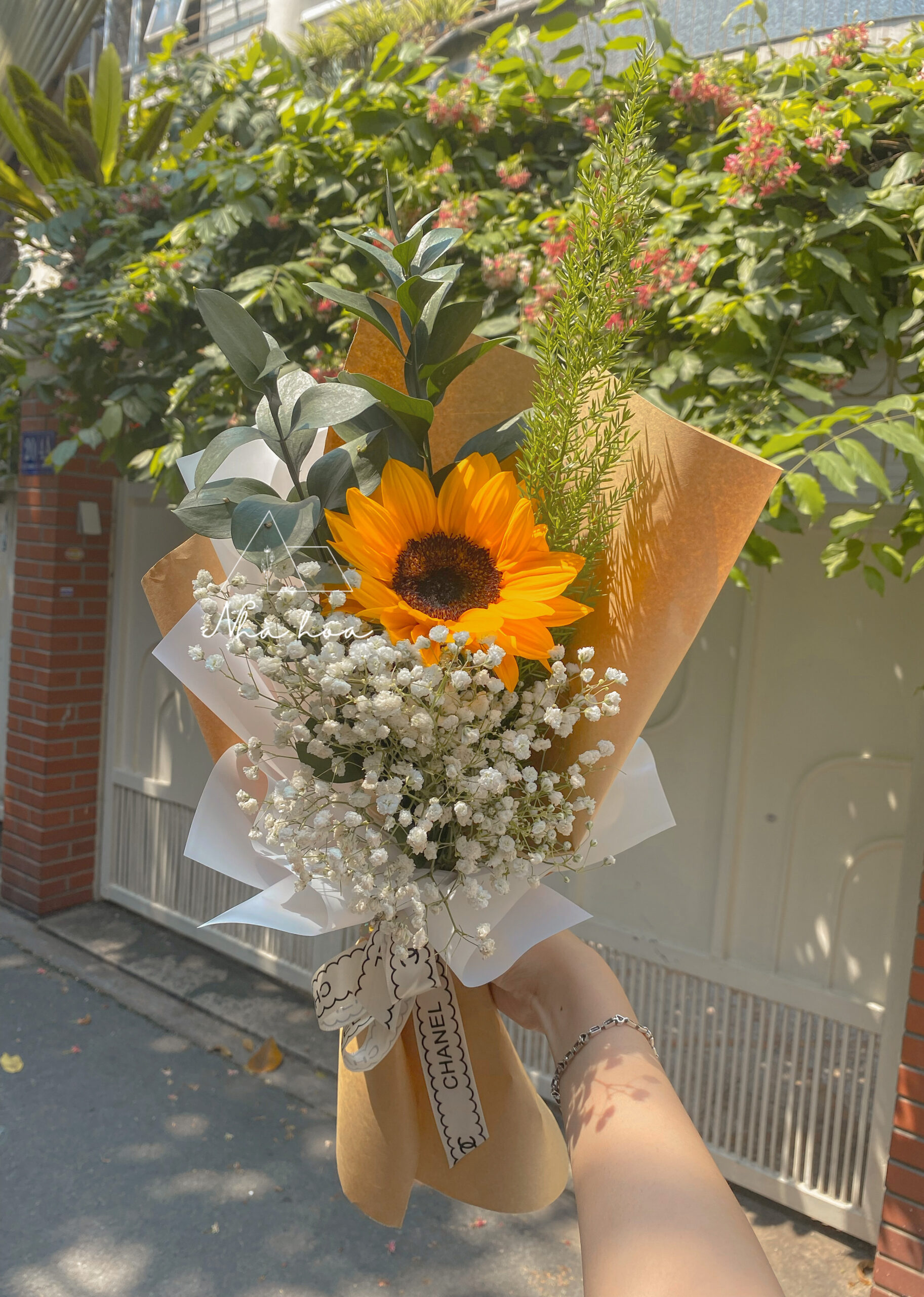 33C618A5-60E1-4E70-A4C8-219BFDE85E44