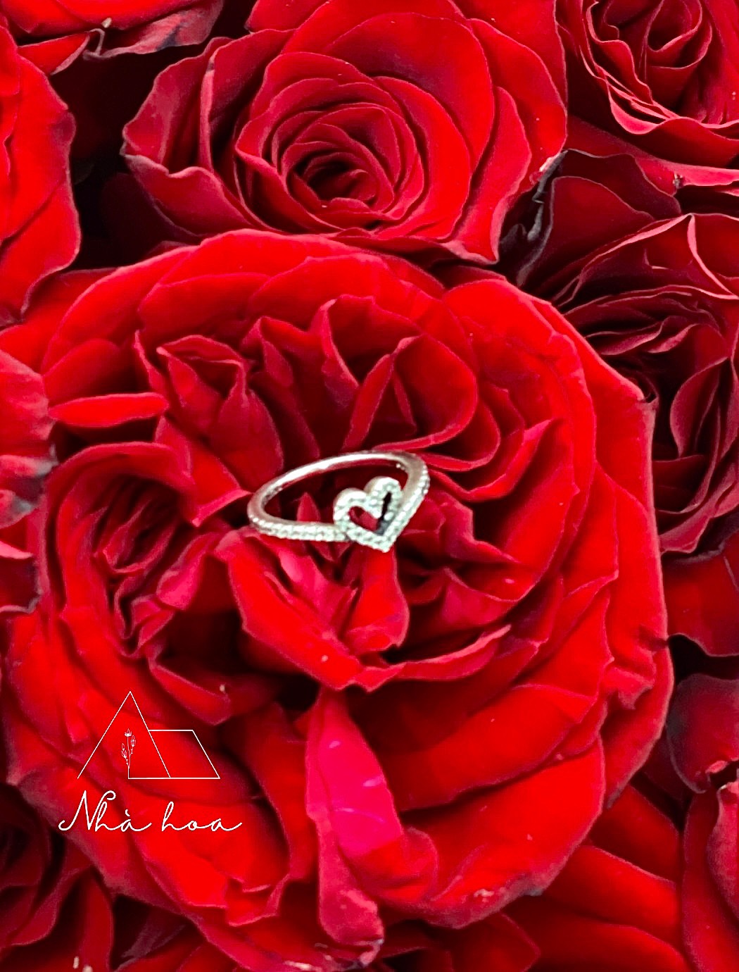 3f707f9c8f585c060549